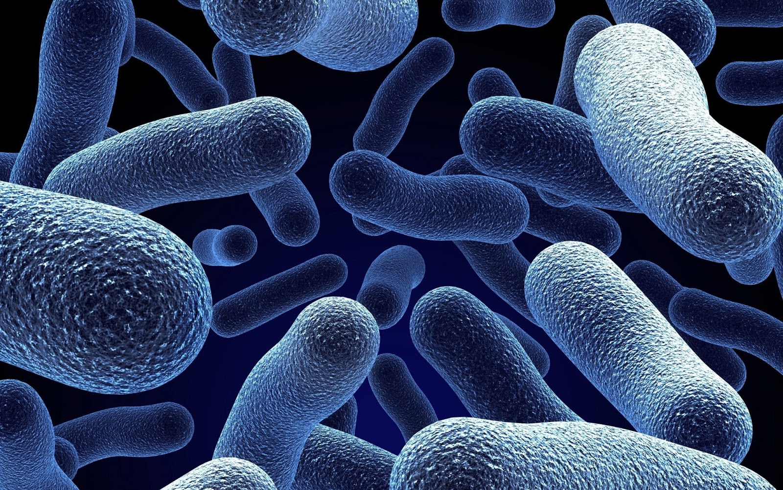 Microorganismo